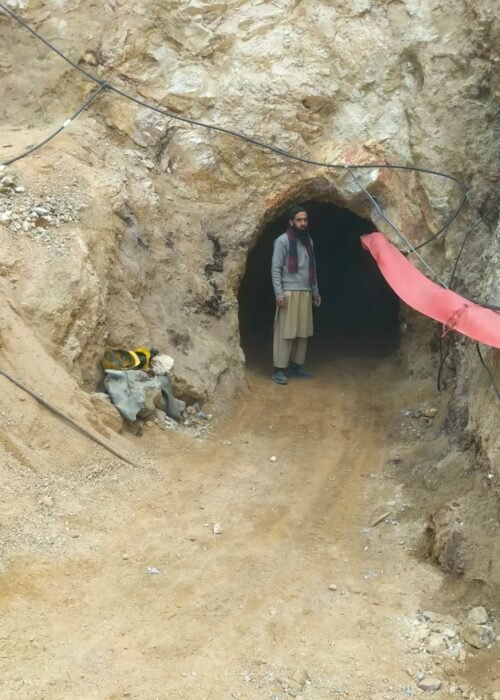 WhatsApp Image 2025-10-28 at 14.29.09_11cb1f63